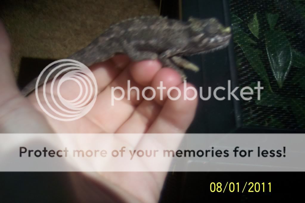 100_2463.jpg