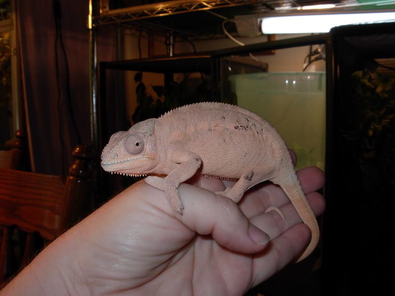 DSCN1525.jpg