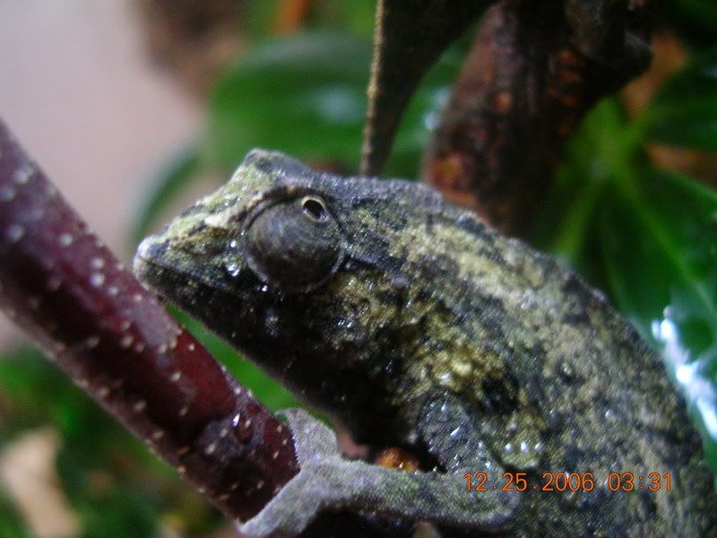 DSCN3411.jpg