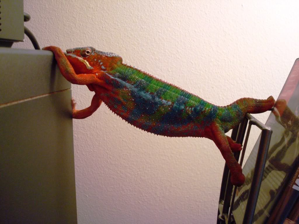 DSC01268.jpg