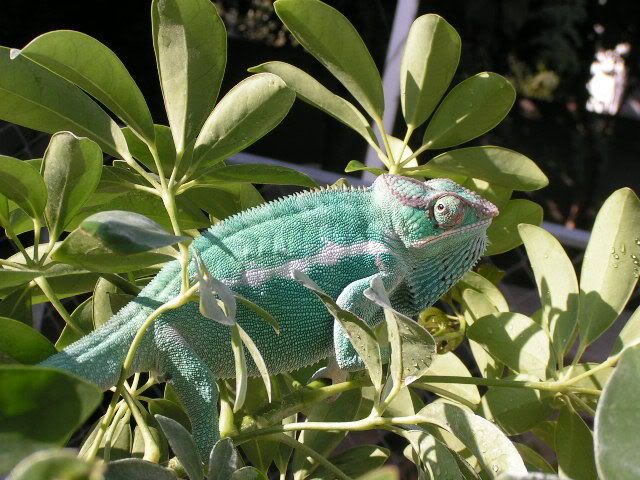 PICT2926.jpg
