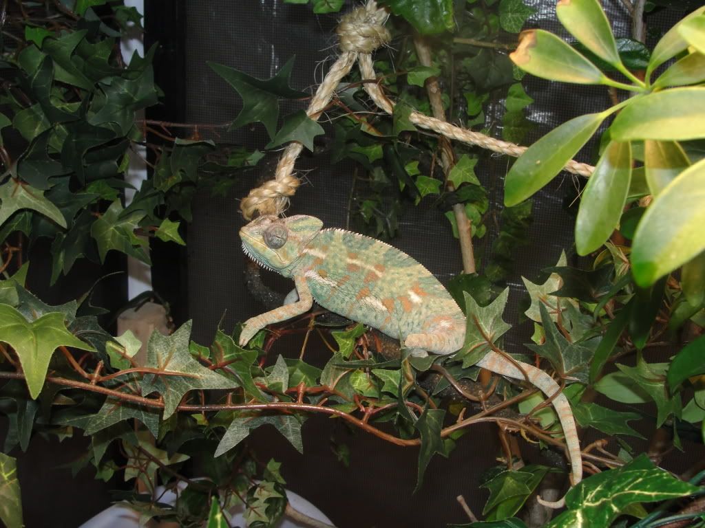 DSC00813.jpg