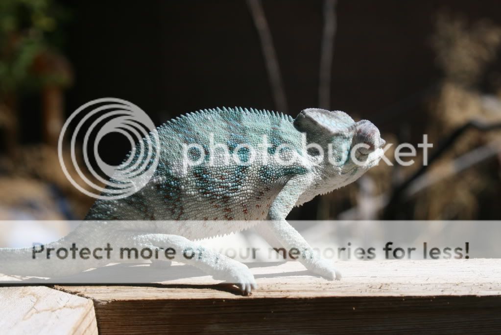 eospics9-19-09017-3.jpg