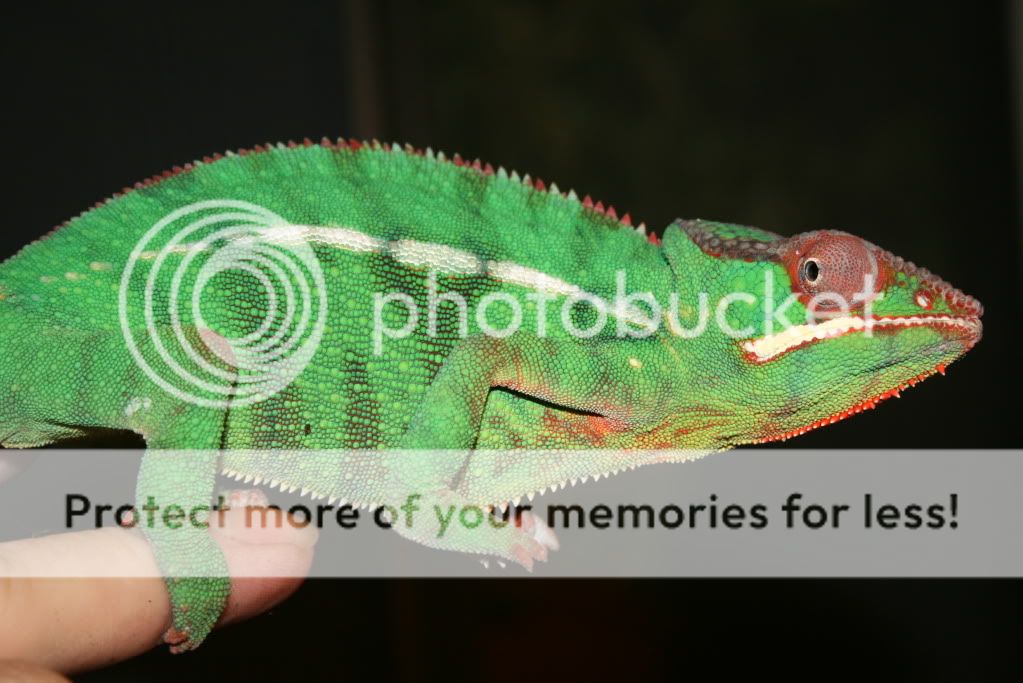 picsfromtoday019.jpg