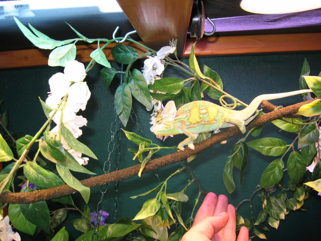 IMG_1236.jpg