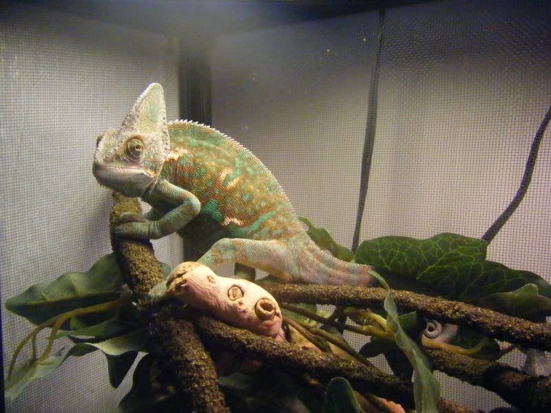 LarryJr.jpg