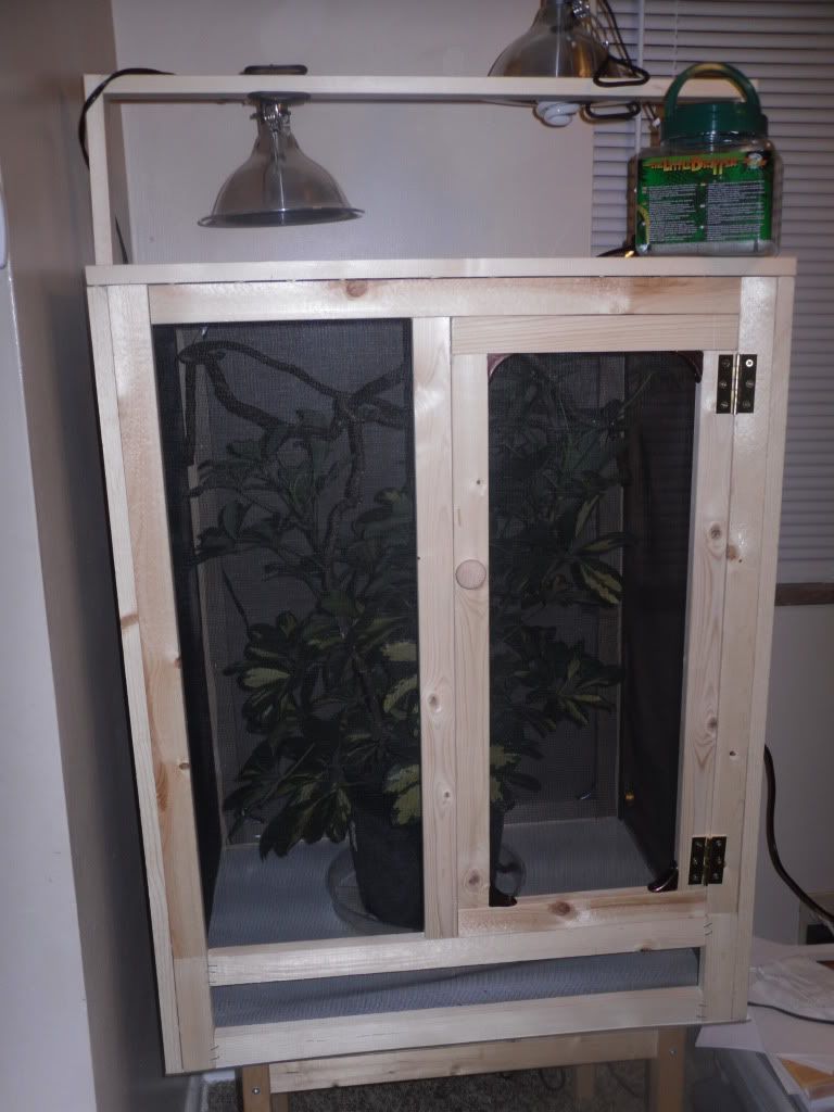 SDC10062.jpg