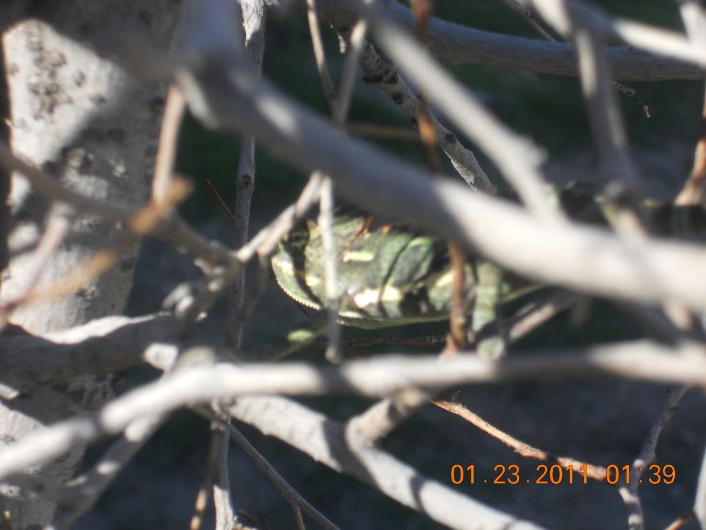 DSCN1546.jpg