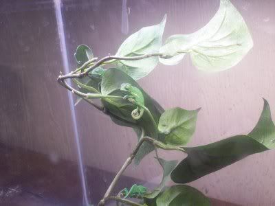 100_1579.jpg