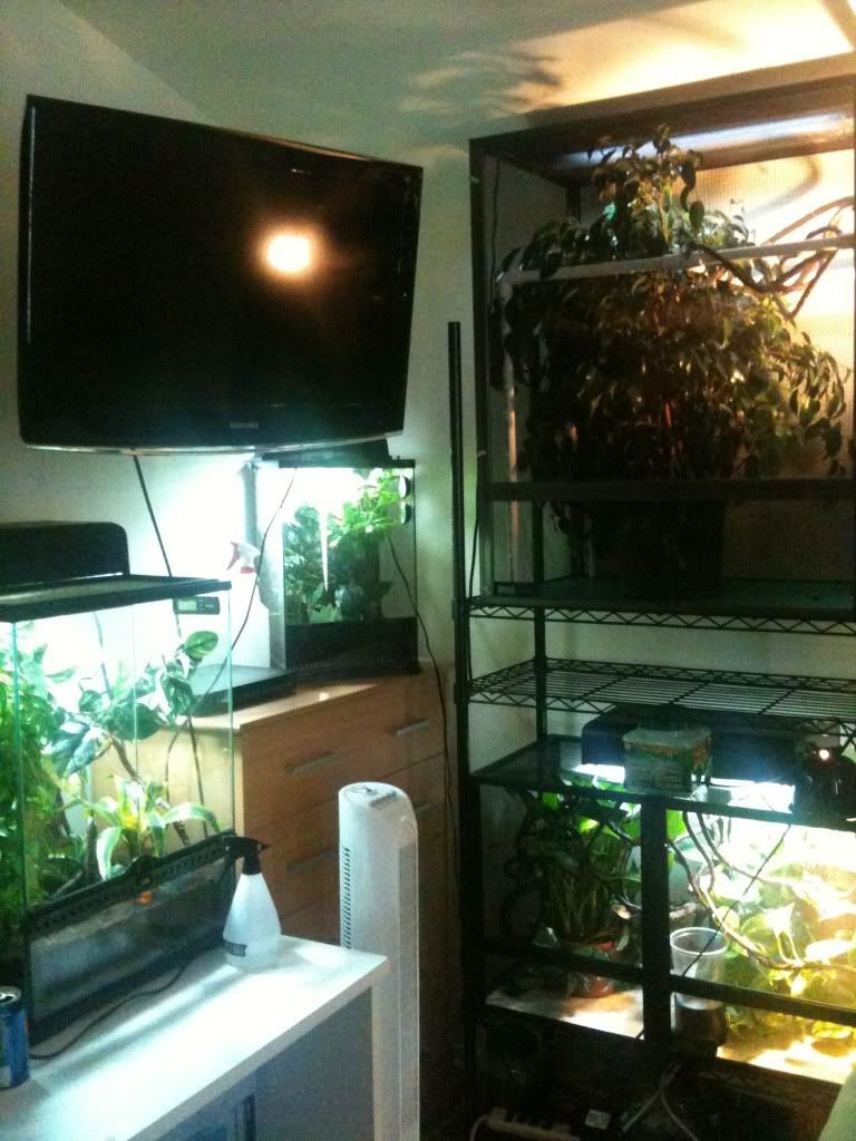 Setup.jpg