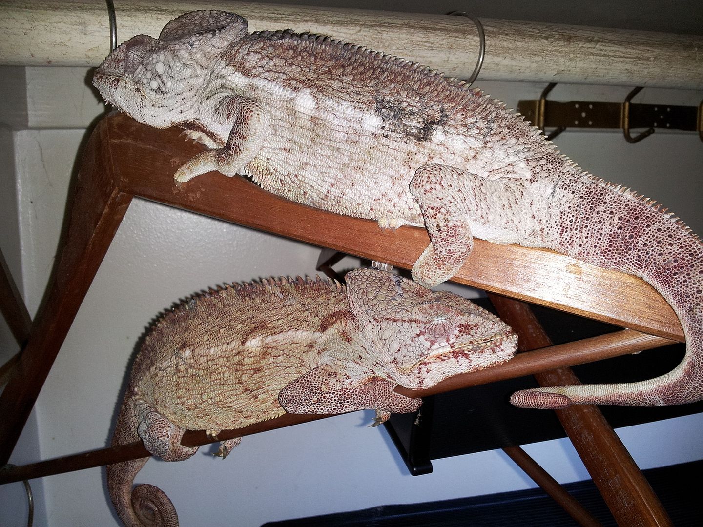 20120802_034506.jpg