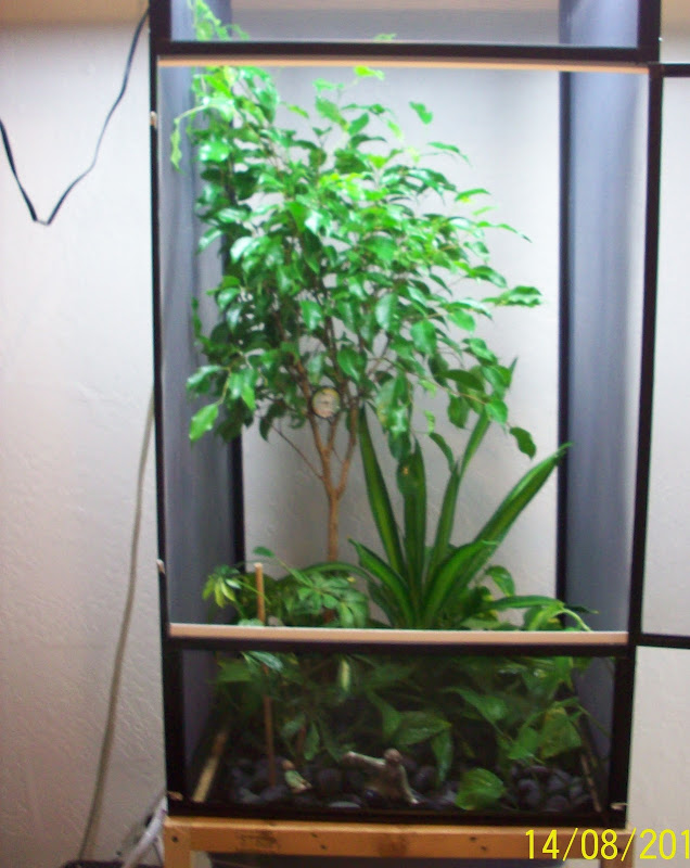 100_0487.JPG