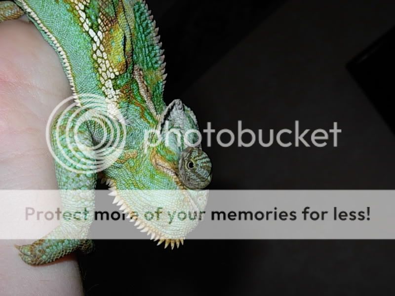 DSCN4645.jpg