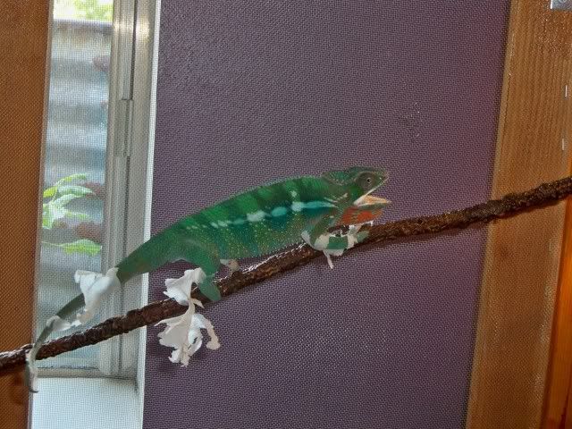 100_0437.jpg