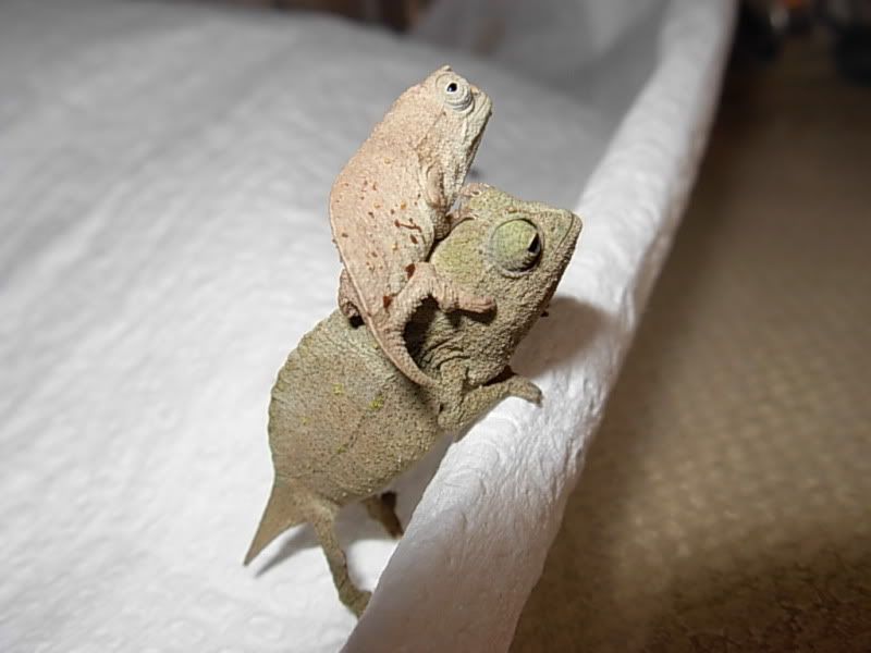 DSCN5135.jpg