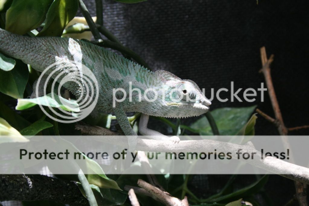 outsidepics017.jpg