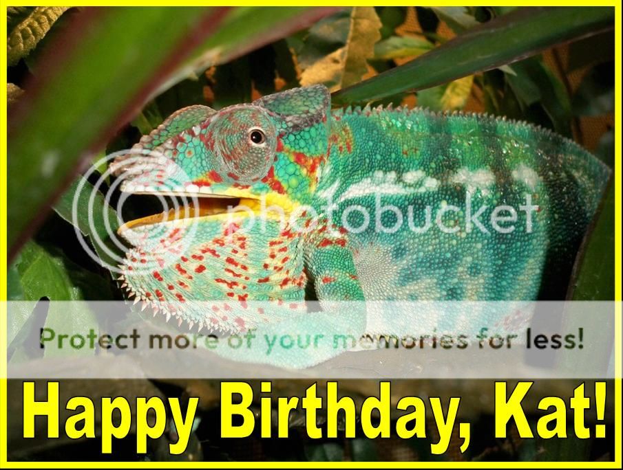 KatBday.jpg