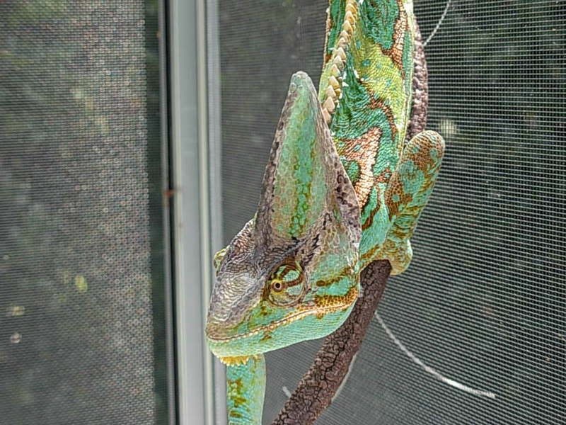 DSCN1016.jpg