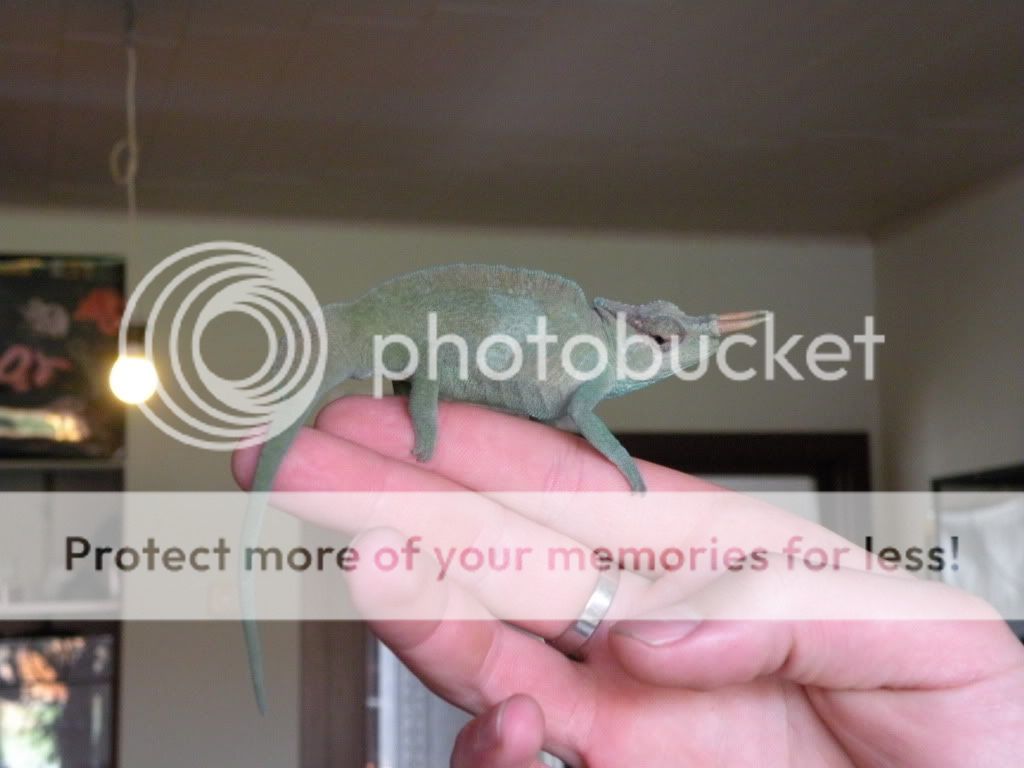 DSCN7705.jpg