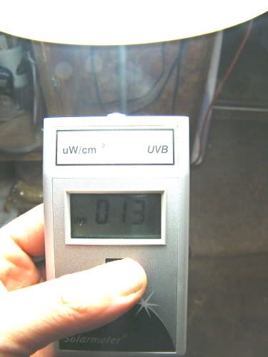 uvb.jpg