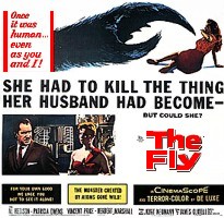fly582.jpg