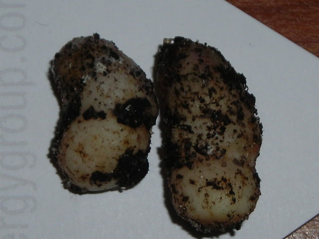 DSCN5625.jpg