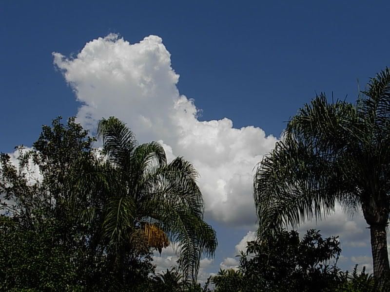 DSCN0824.jpg