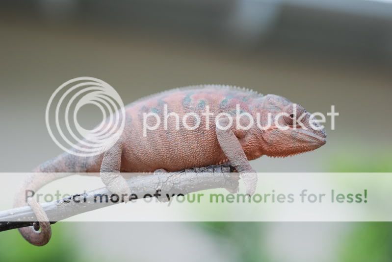 LizsPics130.jpg