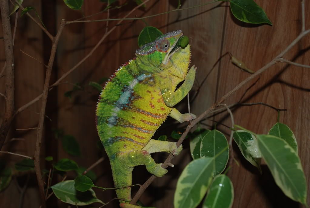 DSC_0256.jpg