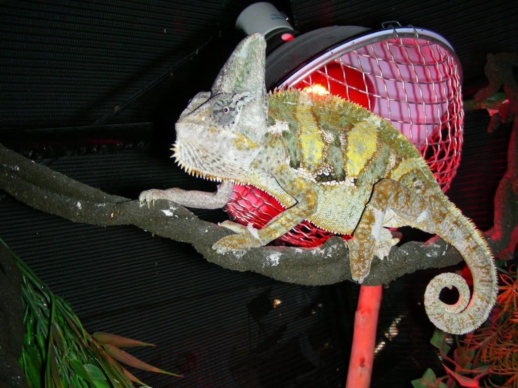 DSCN3268.jpg