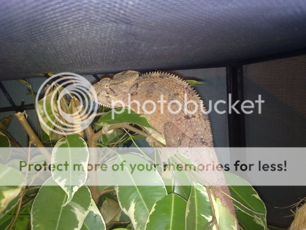 19072010122.jpg