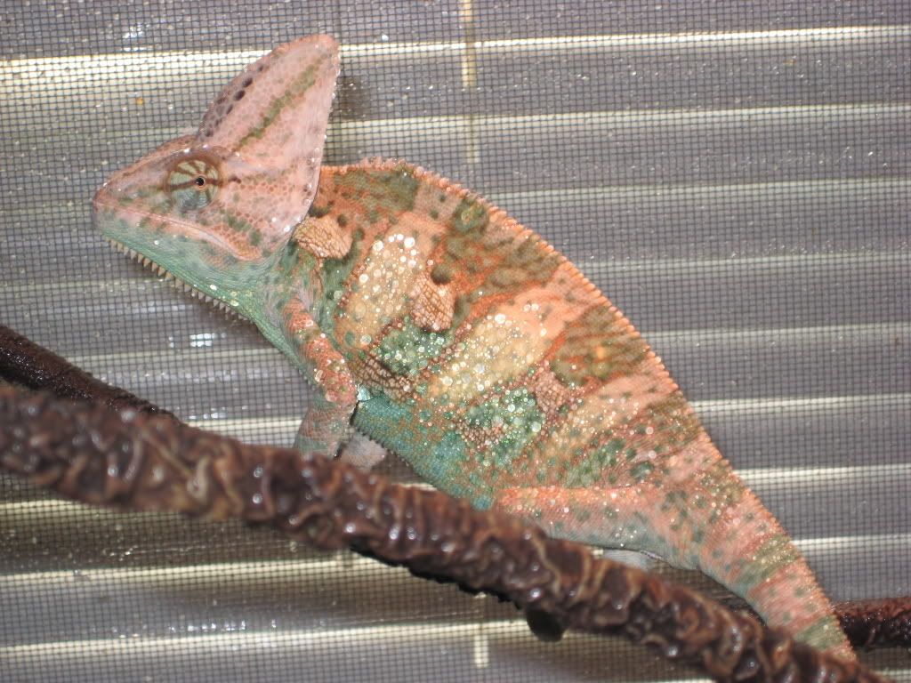 IMG_8178.jpg