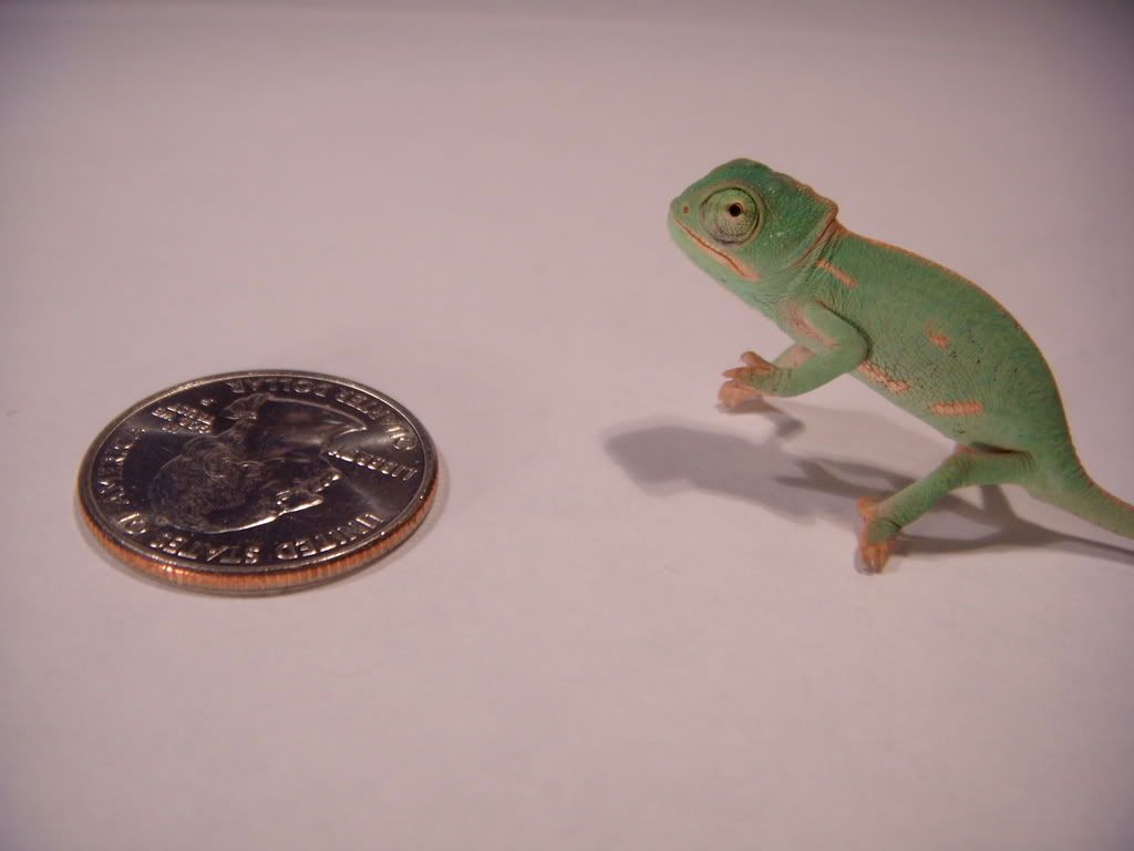 DSCN1434.jpg