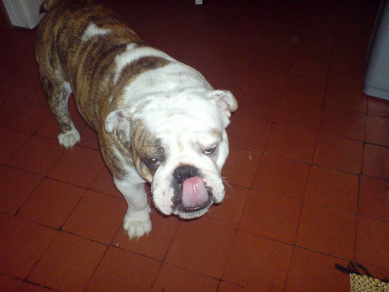 Picture087.jpg