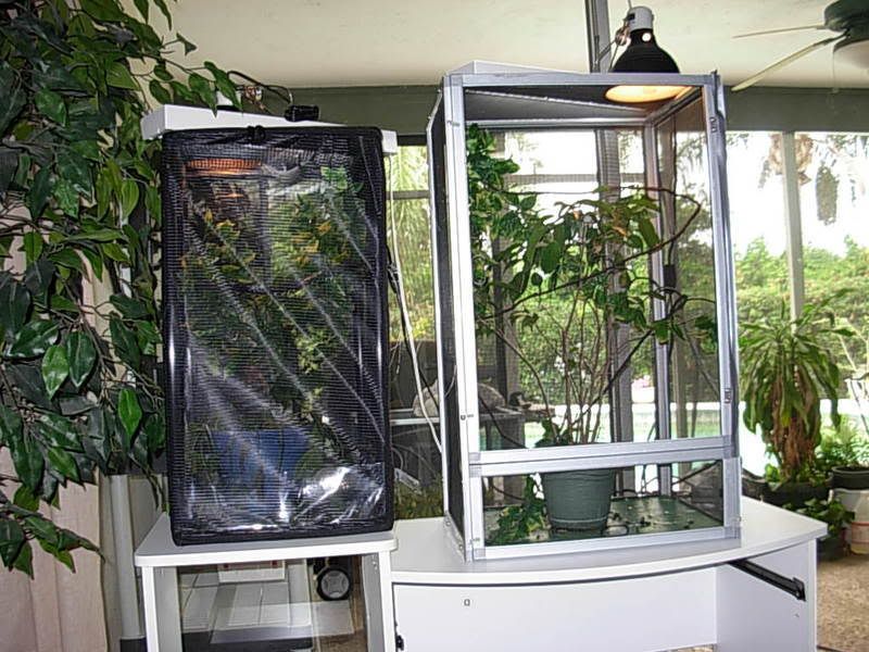 cages1.jpg