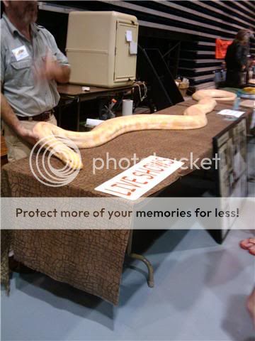 snake.jpg