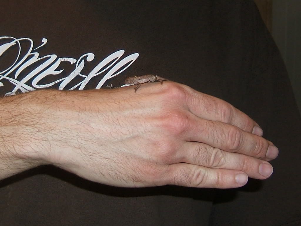DSCF7720.jpg