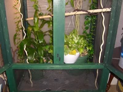 Chamcagebottom.jpg
