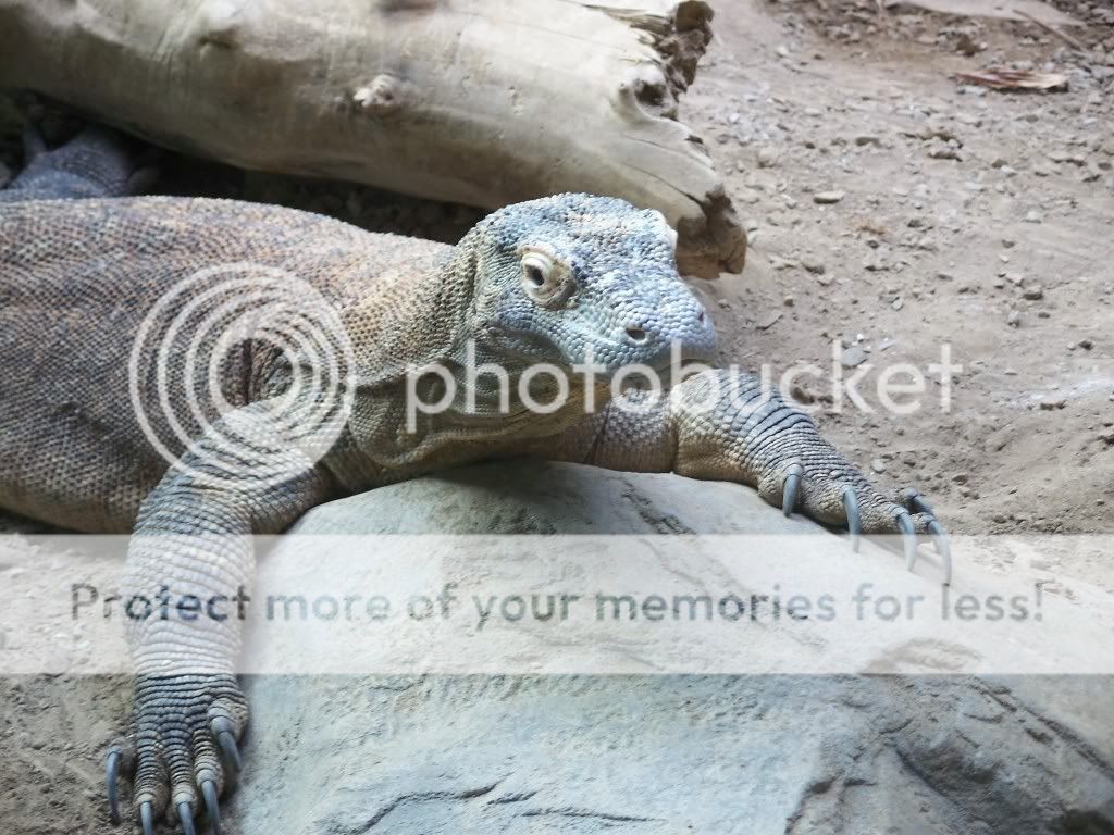100_1868.jpg