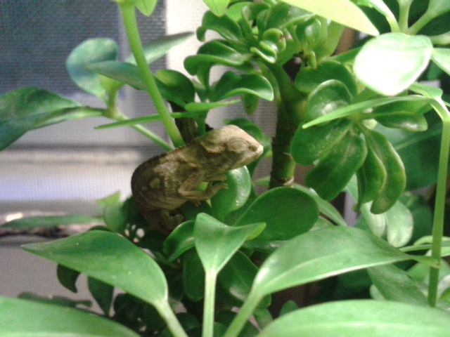 2012_10_20_18_13_36.jpg