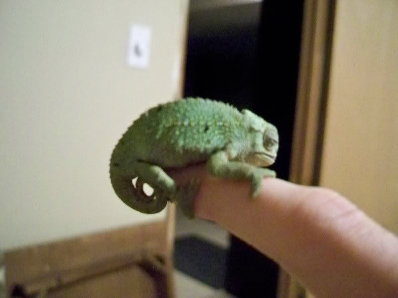 100_0376.jpg