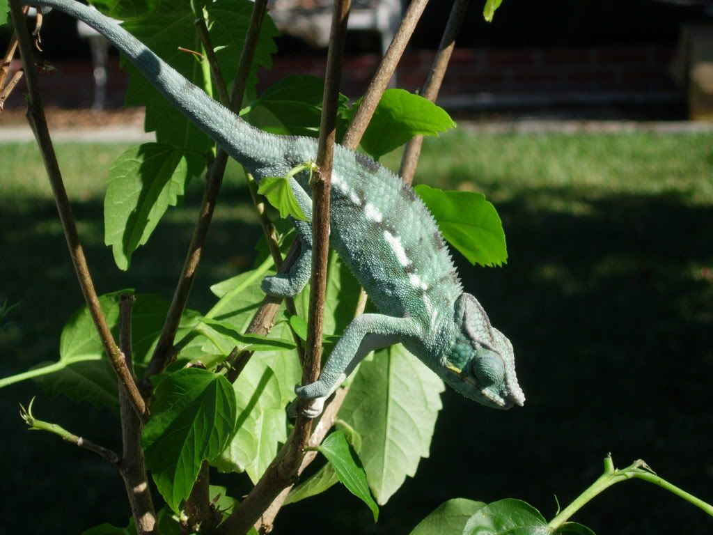 DSCN1409.jpg
