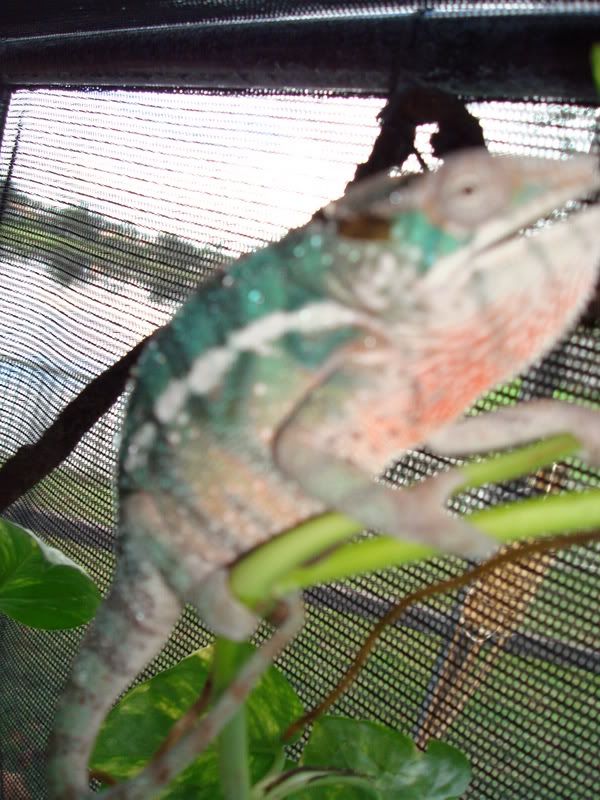 DSC00712.jpg