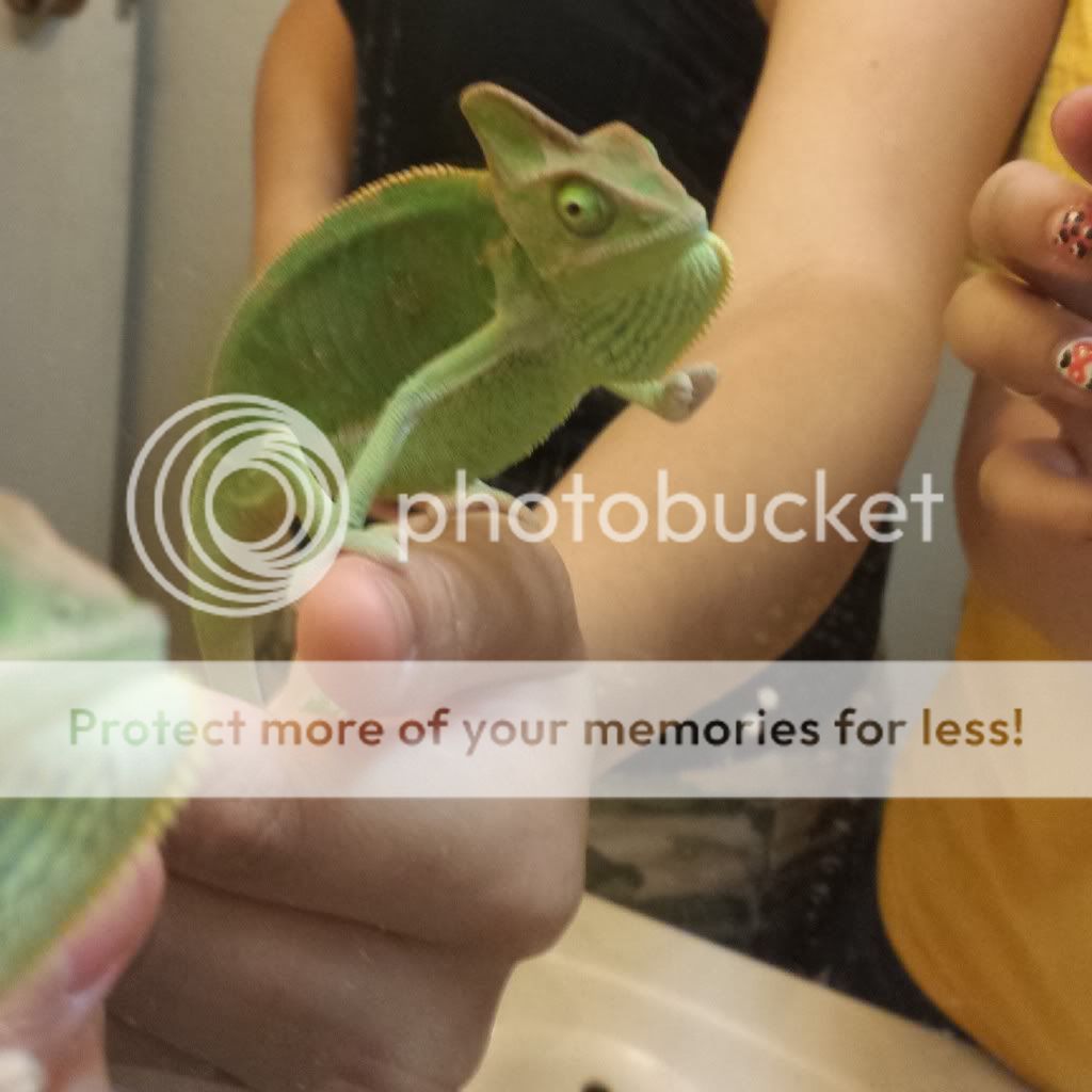 IMG_20130809_194453_zps4b869017.jpg