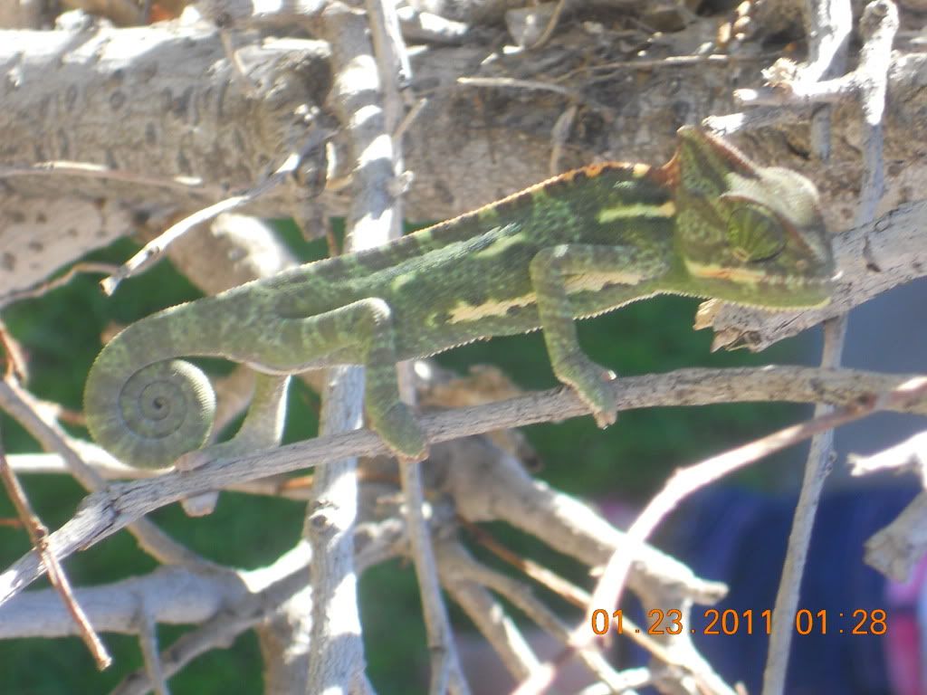 DSCN1544.jpg
