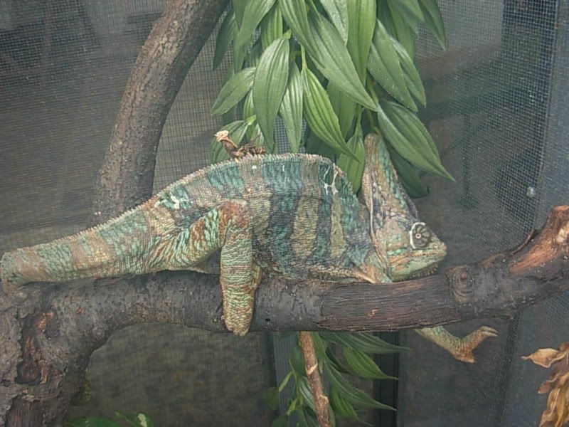 DSCN7180.jpg