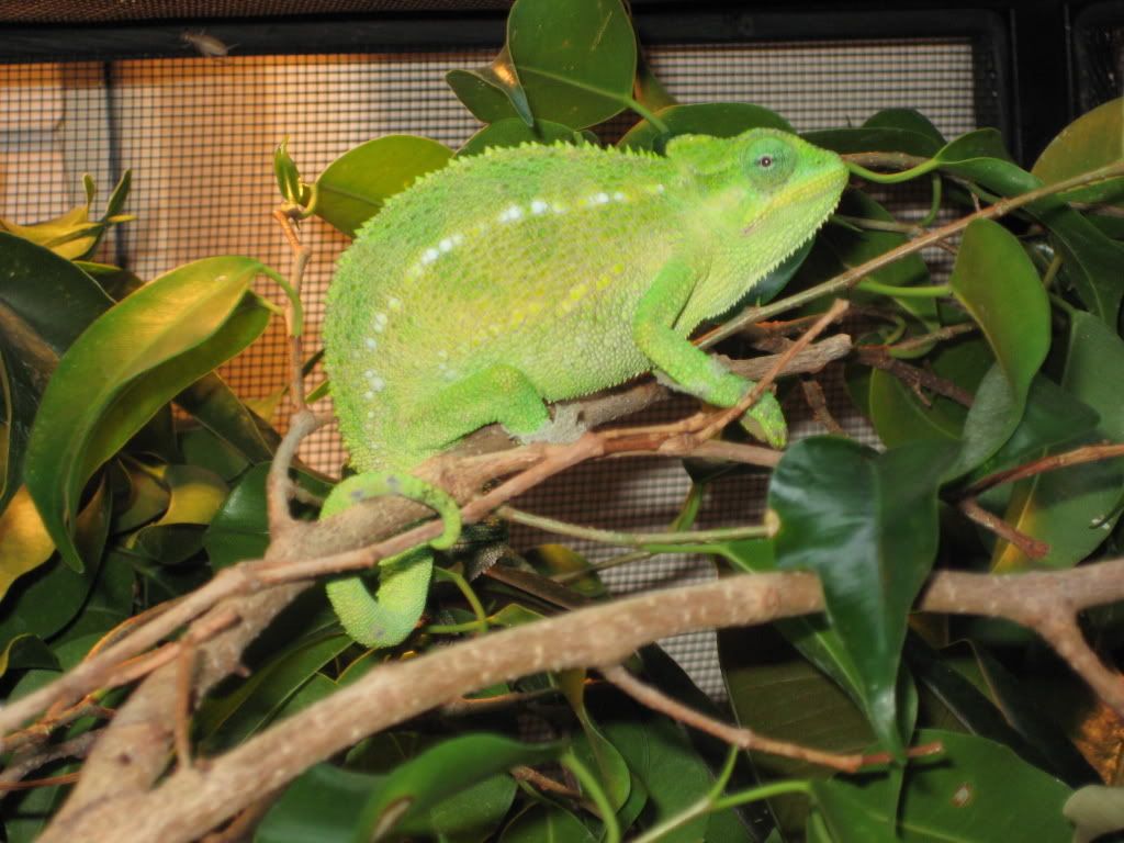 IMG_0609.jpg