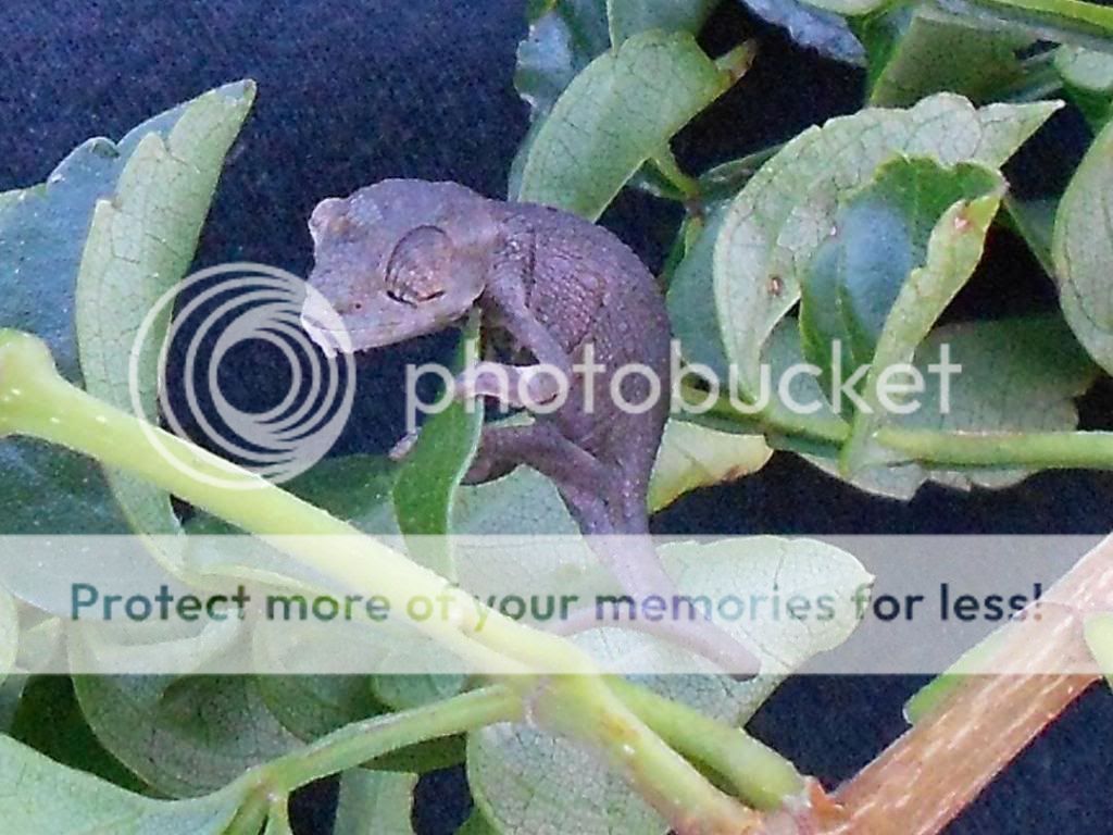 Newcamera26thSep201202001-1.jpg