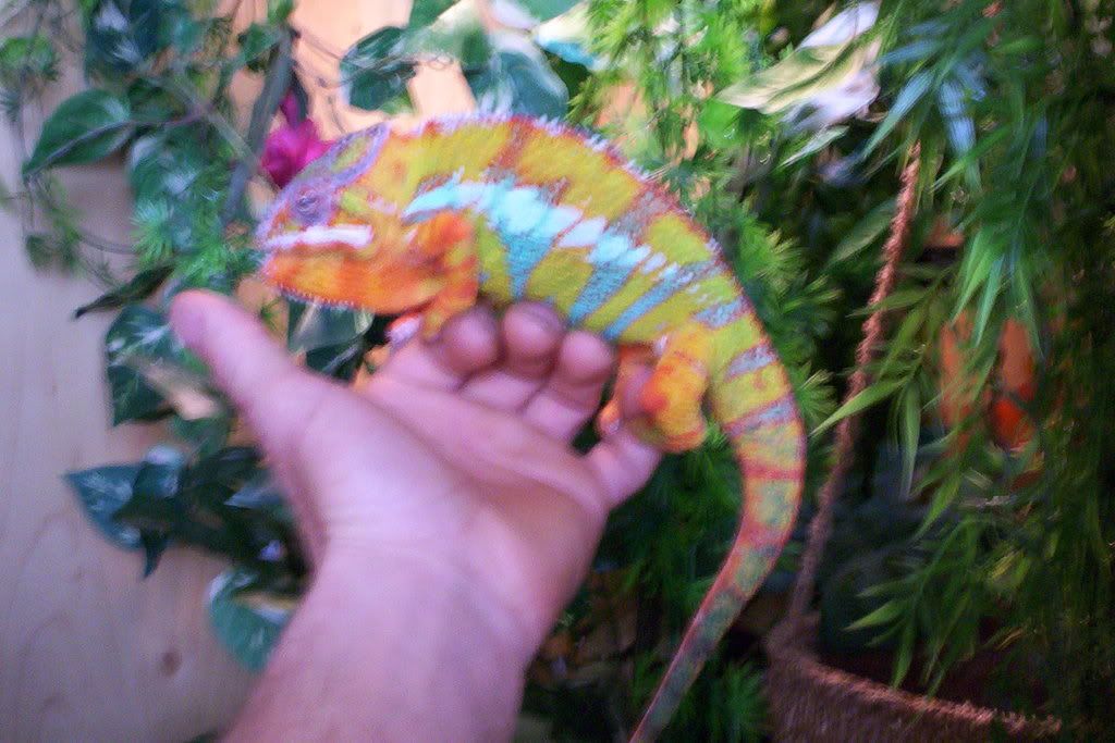 100_6150.jpg