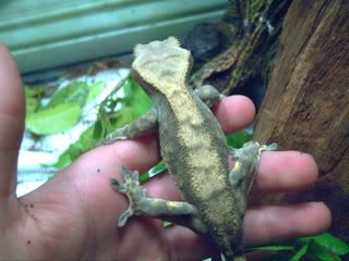 PICT0005.jpg